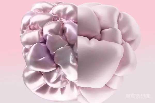 高清摄影 一朵粉色和白色相间的花在粉色背景上。
