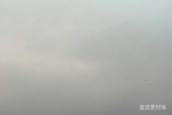 高清摄影 一个女人站在海岸边，天空阴沉灰暗。