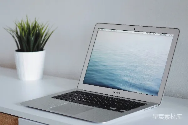 高清摄影 MacBook Air 靠在绿色植物旁，放置在白色木制表面上。