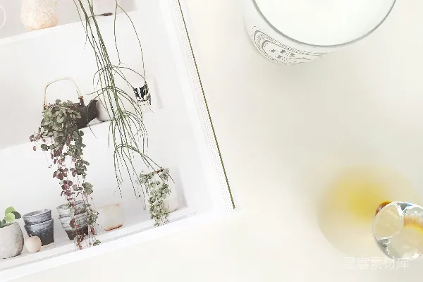 高清摄影 白色洋基蜡烛