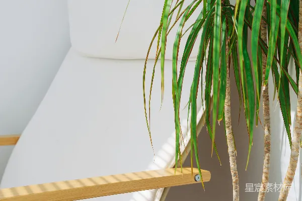 高清摄影 绿色植物在白色床旁边