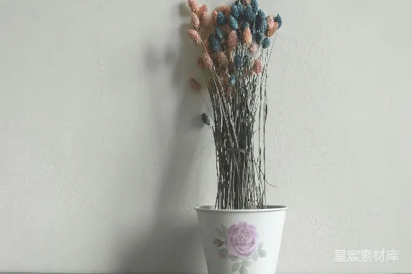 高清摄影 在墙边有几盆白色花盆中插着粉色和蓝色的人造花。