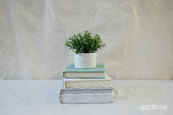 高清摄影 三堆书和植物