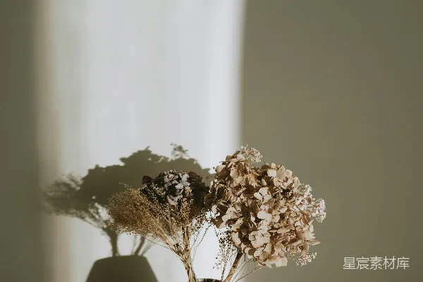 高清摄影 一个装有干花的花瓶放在桌子上