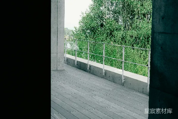高清摄影 木制甲板俯瞰着郁郁葱葱的绿树和水域。