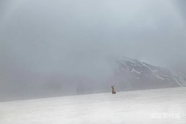 高清摄影 在白天，一个人走在被雪覆盖的田野上。