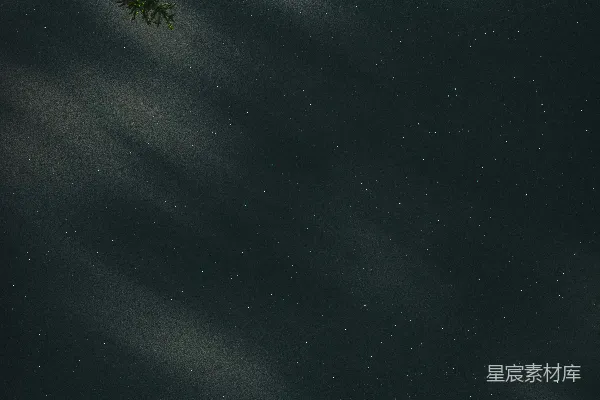 高清摄影 蓝天下夜晚的绿树