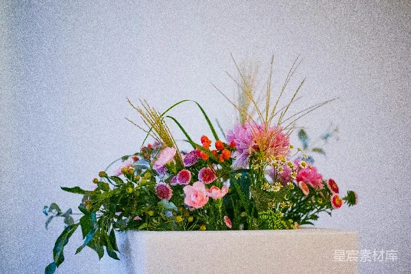 高清摄影 一个花瓶里的花