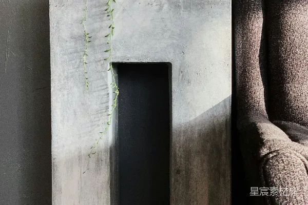高清摄影 绿色植物在白色混凝土墙上