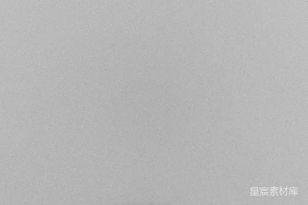 高清摄影 一张黑白照片，展示一架飞机在空中飞行。