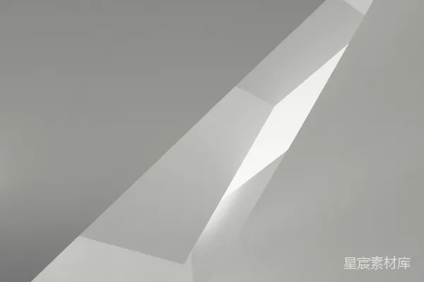 高清摄影 一幅黑白照片，显示了一栋高大的建筑。