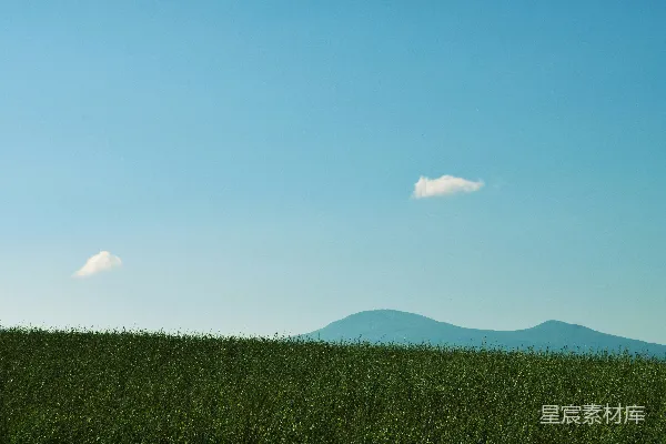 高清摄影 一片绿草如茵的田野，远处有一座山。