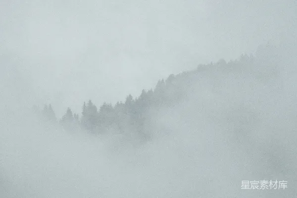 高清摄影 雾气笼罩的山峰，背景中有树木。