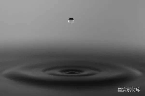 高清摄影 露水