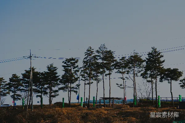 高清摄影 一群树坐在山顶上