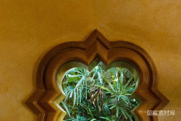 高清摄影 棕色木制窗台上的一株绿植
