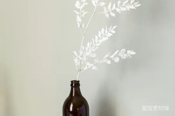 高清摄影 棕色玻璃瓶中的白花