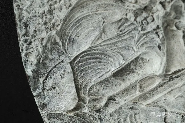 高清摄影 一幅人物石雕的特写图像。