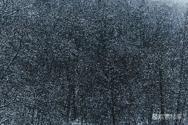 高清摄影 覆盖着积雪的森林中，前景有一张长椅。