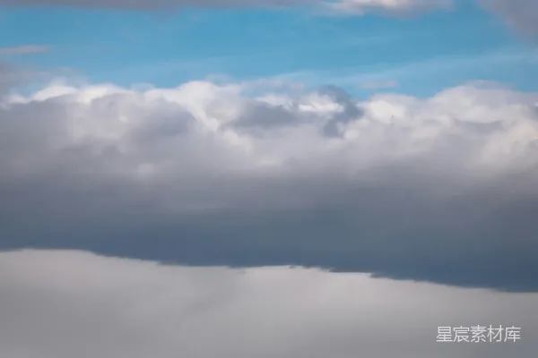 高清摄影 一座山上的树