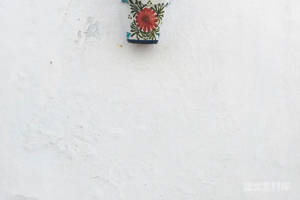 高清摄影 红色花瓶里黑色架子下面的红色花朵