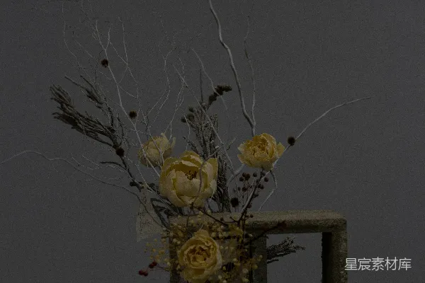 高清摄影 一个带花的花瓶