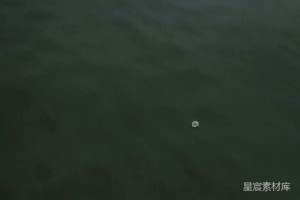 高清摄影 一个白色物体漂浮在水面上。