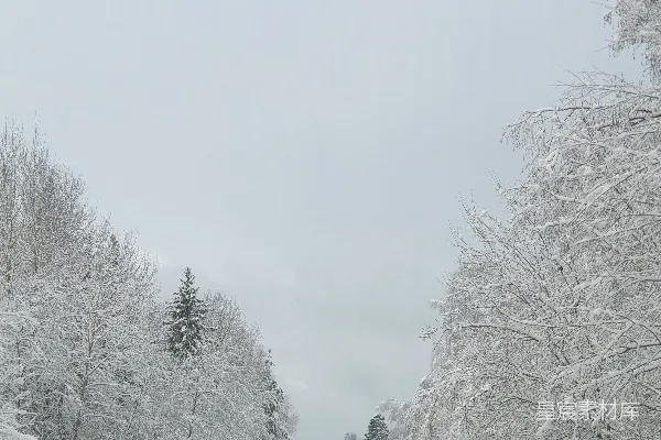 高清摄影 一条被雪覆盖的道路，两旁有树木和一个蓝色的标志牌。