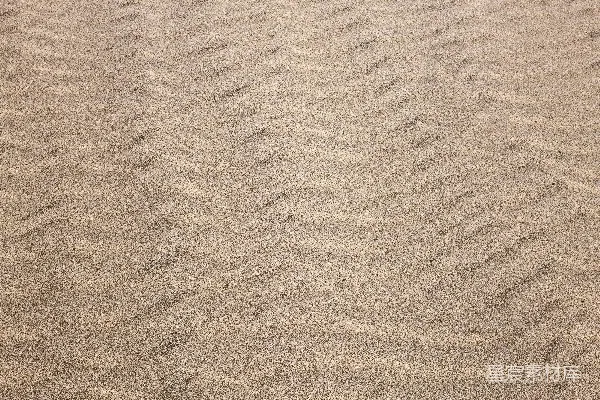 高清摄影 一只狗在沙地上叼着飞盘散步。