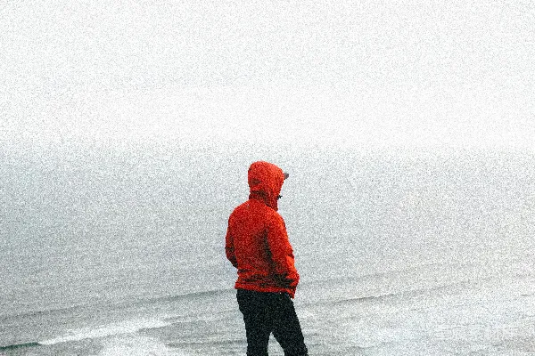 高清摄影 站在海边的人在白天。
