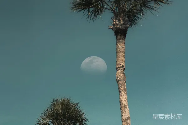 高清摄影 天上的月亮