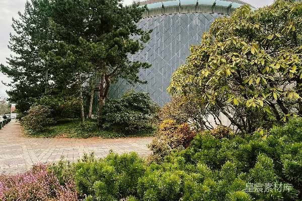 高清摄影 一座被树木和灌木丛环绕的圆形建筑。