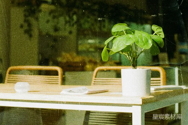 高清摄影 桌上的盆栽绿植透过窗户看去。
