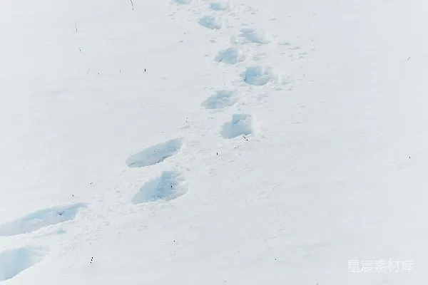 高清摄影 一个男人在雪覆盖的斜坡上滑雪。
