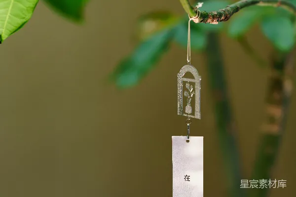 高清摄影 风铃挂在树叶繁茂的树枝上。