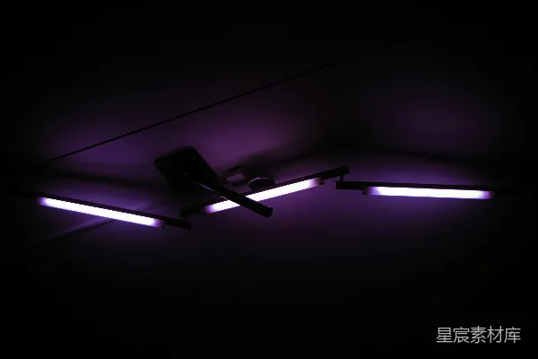 高清摄影 紫色荧光灯