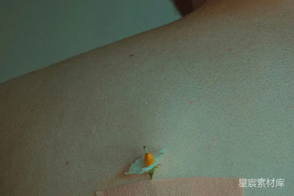 高清摄影 一个背上有补丁的男人，补丁上有一朵花。