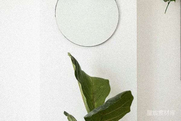 高清摄影 绿色植物
