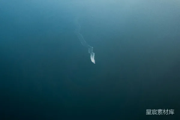 高清摄影 白鸟在海上飞翔