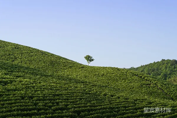 高清摄影 蓝天下的绿草地