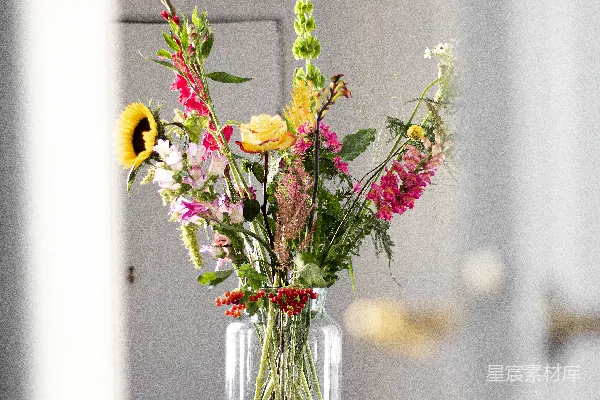 高清摄影 黄色和红色的花在透明玻璃花瓶里
