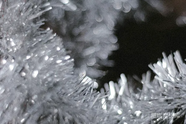 高清摄影 在特写摄影中，可以看到白色的雪花。