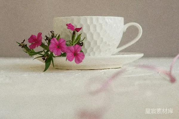 高清摄影 白瓷茶杯在托盘上