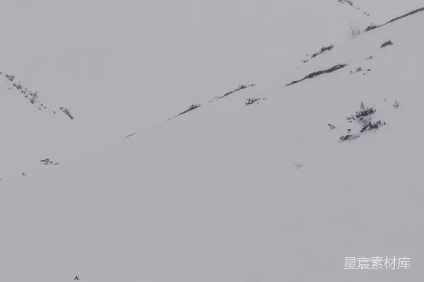 高清摄影 一群人在积雪覆盖的田野上行走