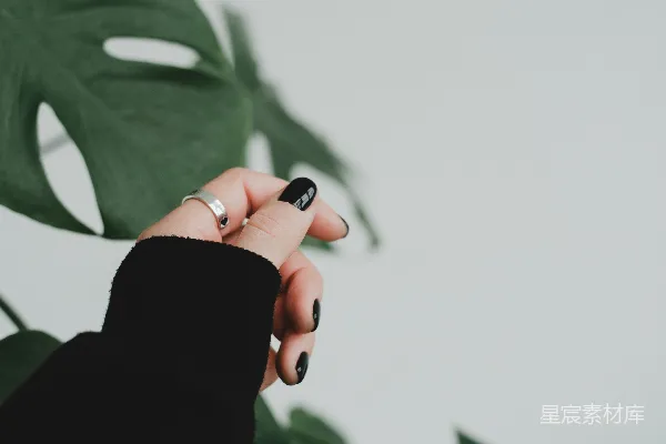 高清摄影 一只女人的手拿着一枚戒指，放在一株植物面前。