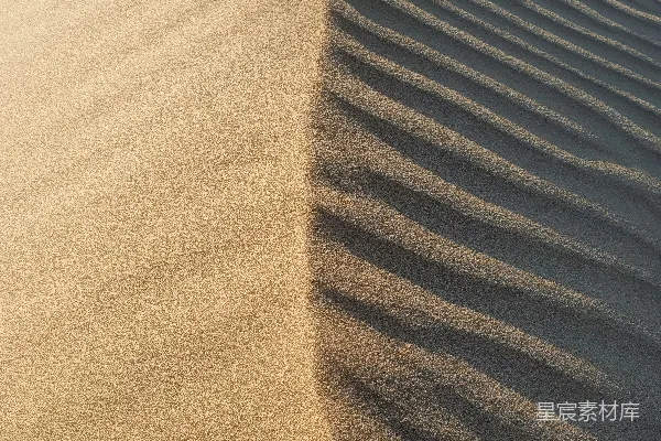 高清摄影 沙漠中的一棵孤独的树