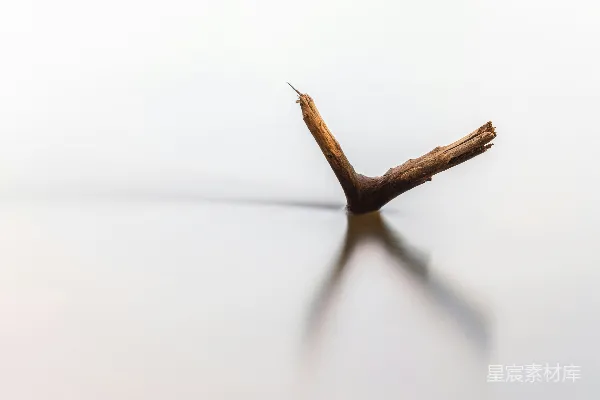 高清摄影 棕色的棍子在白色表面上