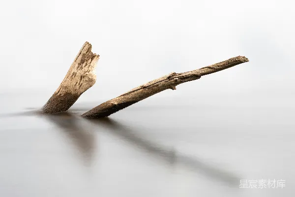 高清摄影 白底上的一根棕色木头原木