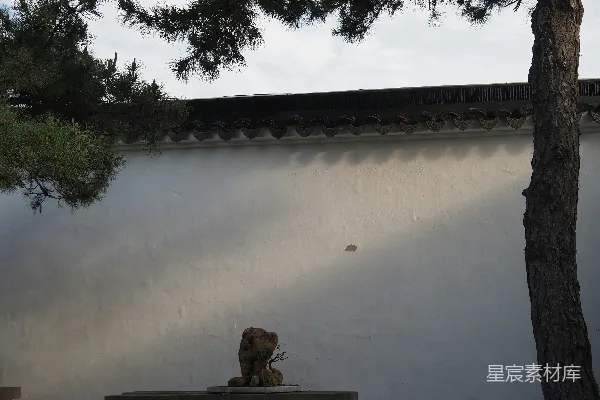 高清摄影 石雕放在白色墙边的长椅上