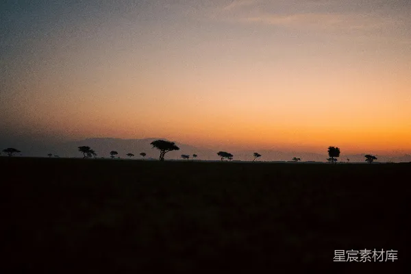 高清摄影 太阳正在树林中落下。